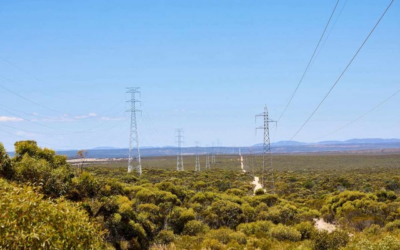 Research for the Australian Energy Regulator on Options to Improve Econometric Benchmarking of Electricity Networks